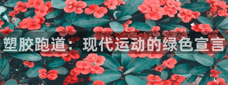 红足i世足球手机网：塑胶跑道：现代运动的绿色宣言