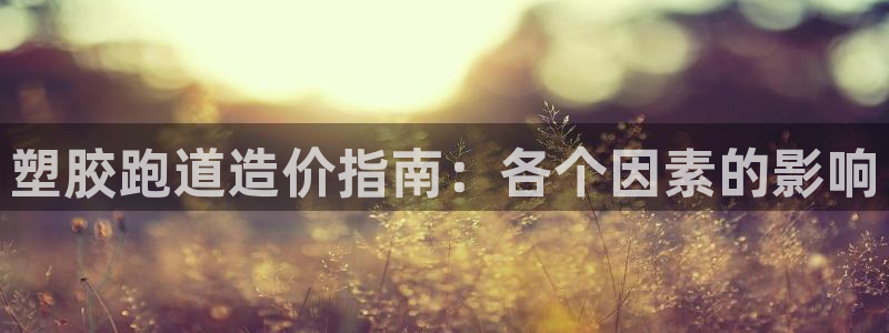 红足 世足球手机网：塑胶跑道造价指南：各个因素的影响