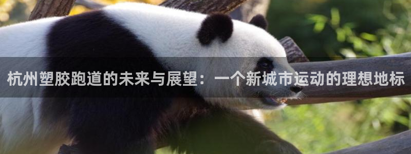 红足1世足球比分网址：杭州塑胶跑道的未来与展望：一个新城市运动的理想地标