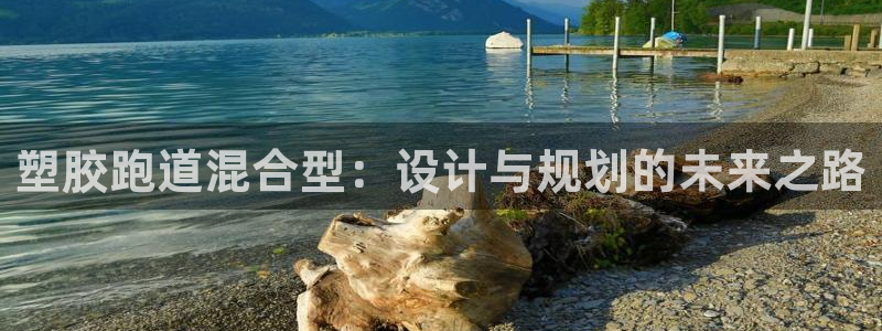 66814红足：塑胶跑道混合型：设计与规划的未来之路