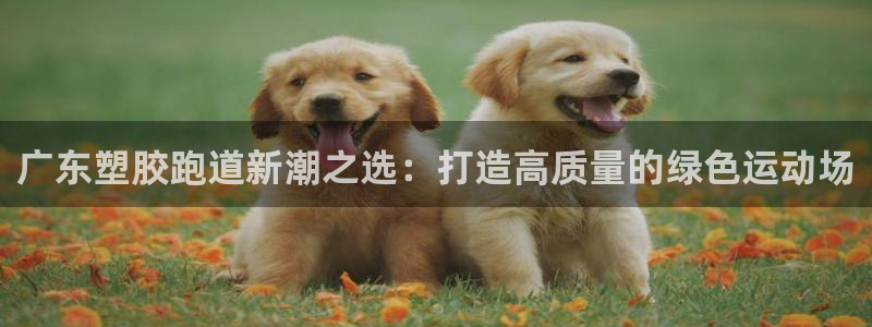 红足一1世官网：广东塑胶跑道新潮之选：打造高质量的绿色运动场