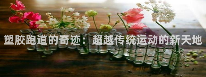 777814红·足一世比分篮球：塑胶跑道的奇迹：超越传统运动的新天地