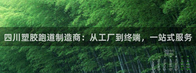红足1一世:四川塑胶跑道制造商:从工厂到终端,一站式服务