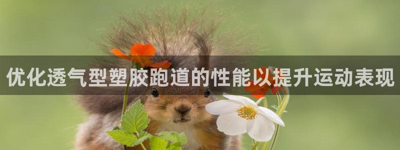 4633333开奖结果4176一点红