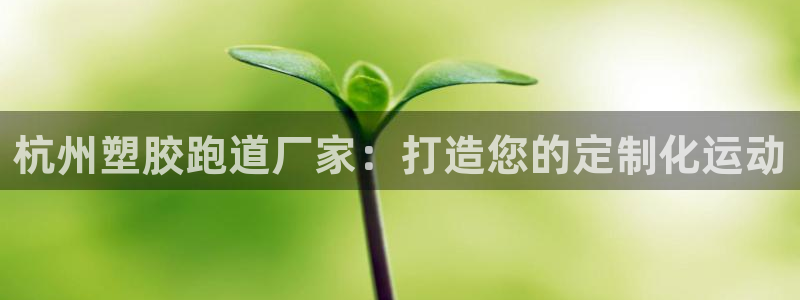 红足一1世66814新宝