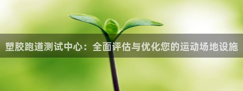 百度红足一1是什么样子的