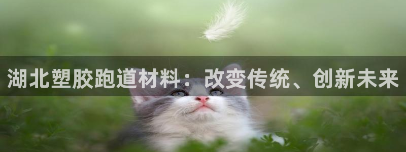 红足1一世足球手机