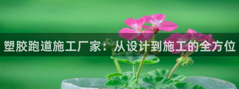 红足一1世官网比分