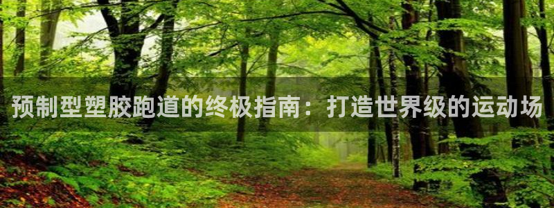 红足1世足球比分 localhost