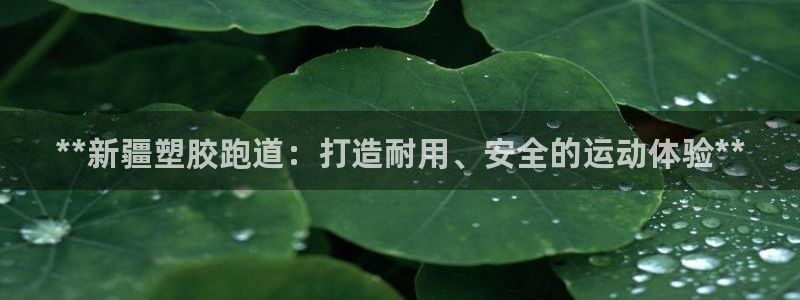 红足一1世开奖记录