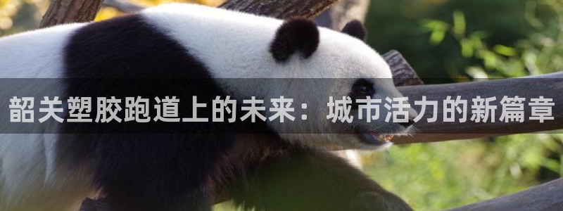 红足1一世足球手机