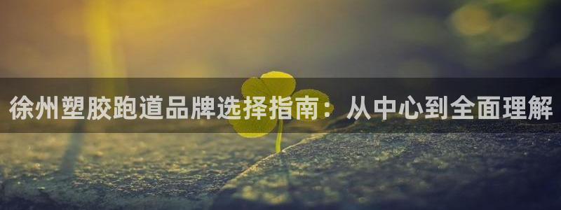 红足一1世手机皇冠