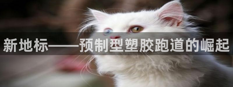 红足1世足球比分 localhost