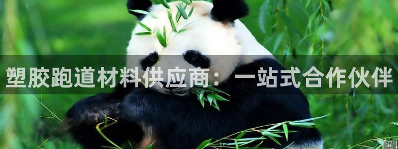 红足1一世红：塑胶跑道材料供应商：一站式合作伙伴