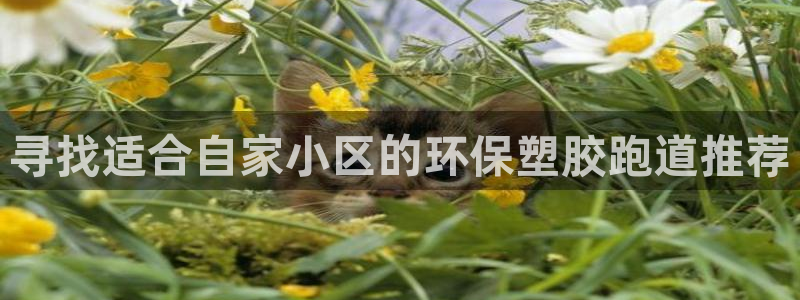 红足一1世皇冠地址：寻找适合自家小区的环保塑胶跑道推荐