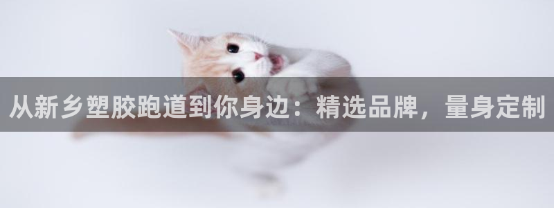 红足1世足球比分网址:从新乡塑胶跑道到你身边:精选品牌,量身定制