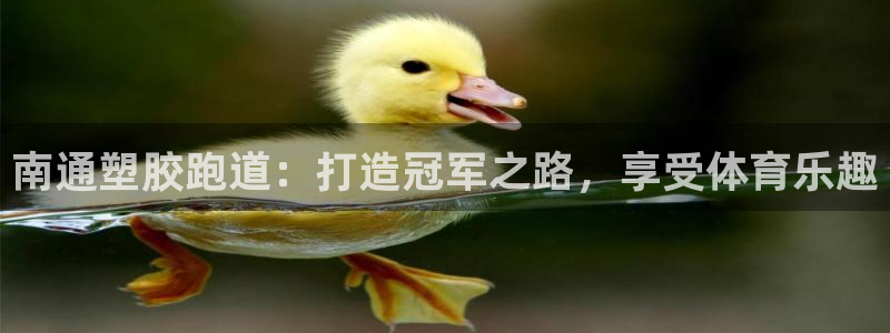 红足一1世官网比分：南通塑胶跑道：打造冠军之路，享受体育乐趣