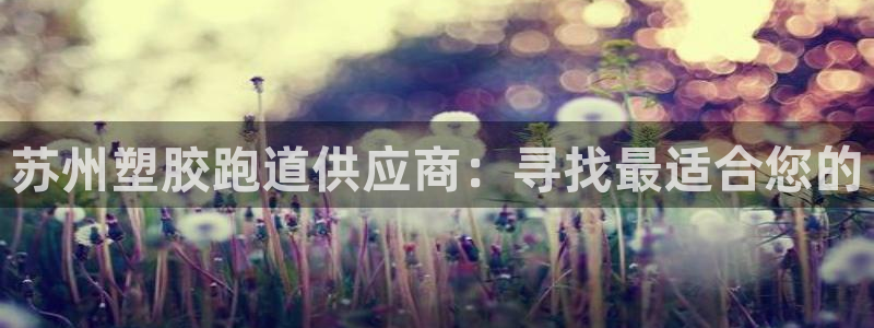 百度红足一1视频在线观看：苏州塑胶跑道供应商：寻找最适合您的