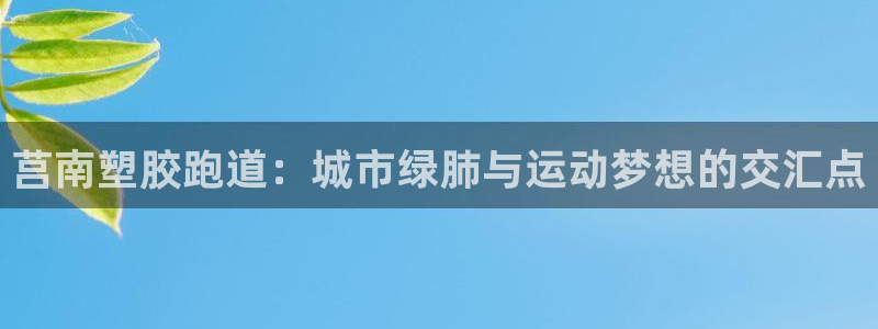 红足1世手机版下载：莒南塑胶跑道：城市绿肺与运动梦想的交汇点