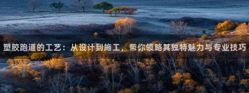 红足i世足球手机网:塑胶跑道的工艺:从设计到施工,带你领略其独特魅力与专业技巧