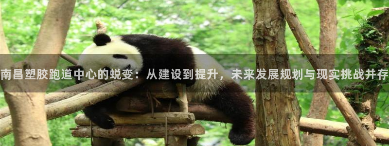 333814红足1世:南昌塑胶跑道中心的蜕变:从建设到提升,未来发展规划与现实挑战并存