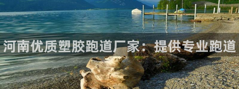 红足一1世666814最新结果:河南优质塑胶跑道厂家:提供专业跑道