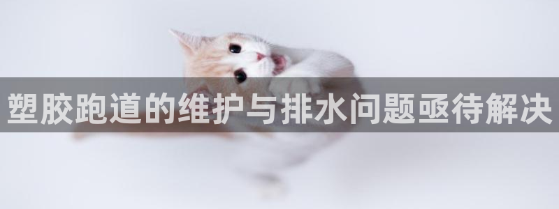 333814红·足一世比分:塑胶跑道的维护与排水问题亟待解决