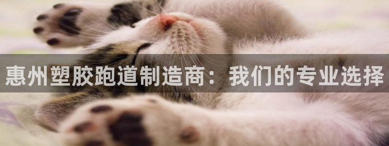 红足一1世官网足球推荐真人:惠州塑胶跑道制造商:我们的专业选择