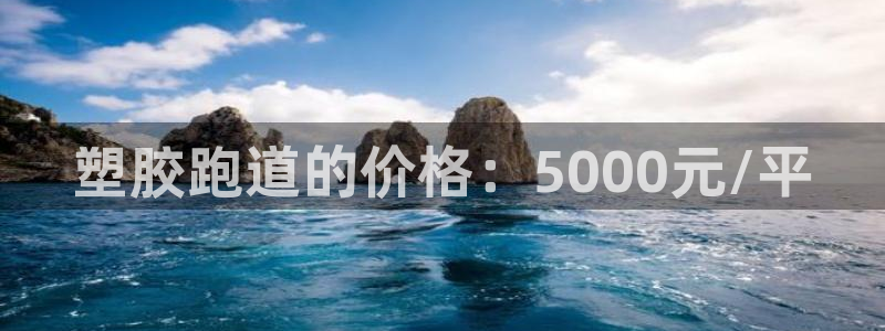 红足一1世：塑胶跑道的价格：5000元/平