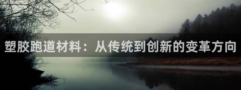 红足1世手机板：塑胶跑道材料：从传统到创新的变革方向