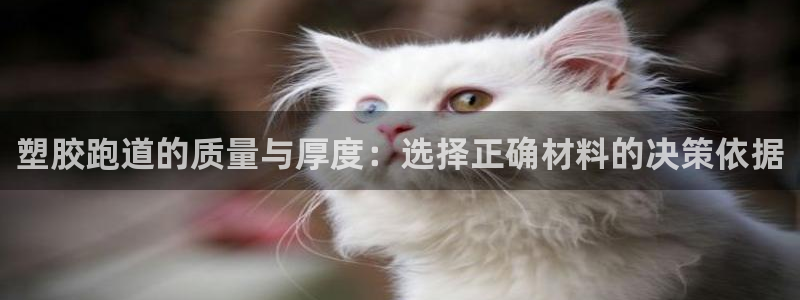 66814红足一66814世：塑胶跑道的质量与厚度：选择正确材料的决策依据