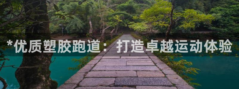 红世一足球比分