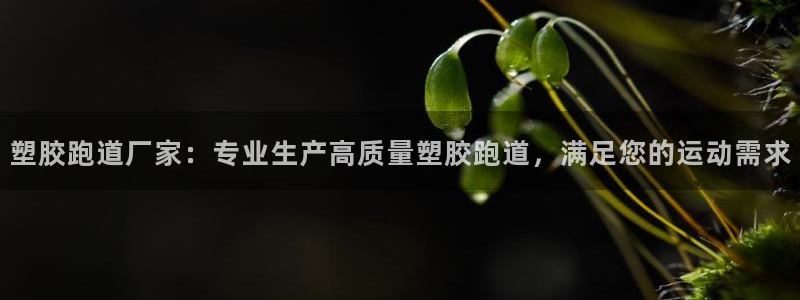 红足一1世66814新宝