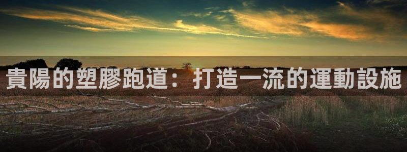 红足一1世官网