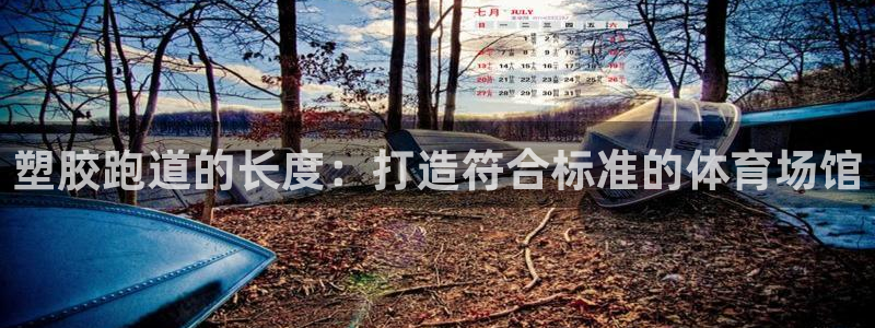 百度红足一1使用说明
