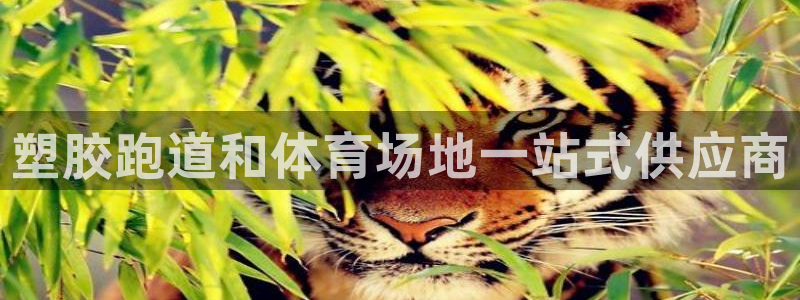 红足一1世手机版新皇冠