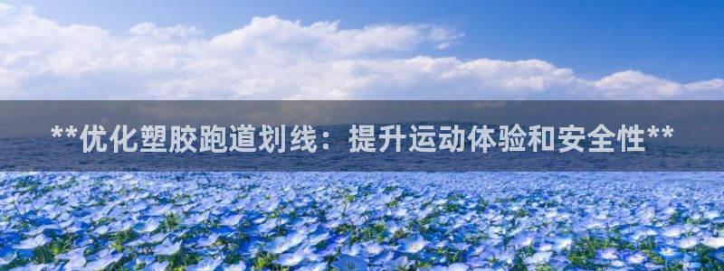红足一生世：**优化塑胶跑道划线：提升运动体验和安全性**