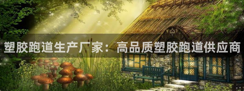 红足一1世77814：塑胶跑道生产厂家：高品质塑胶跑道供应商