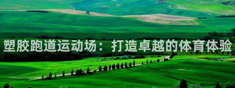 百度红足一1是为什么：塑胶跑道运动场：打造卓越的体育体验
