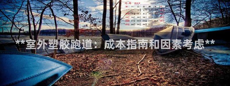 红足体育网：**室外塑胶跑道：成本指南和因素考虑**