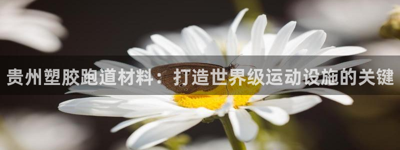 红足一1世开奖记录：贵州塑胶跑道材料：打造世界级运动设施的关键