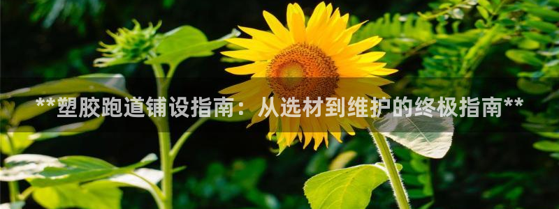 红足一比分网：**塑胶跑道铺设指南：从选材到维护的终极指南**