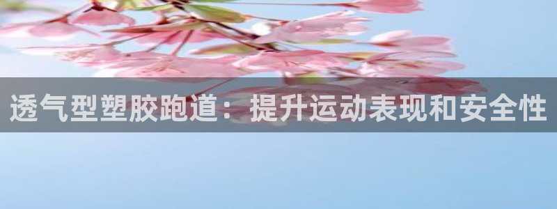 333814红足1世：透气型塑胶跑道：提升运动表现和安全性