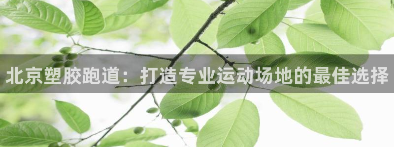 红足1世1站：北京塑胶跑道：打造专业运动场地的最佳选择