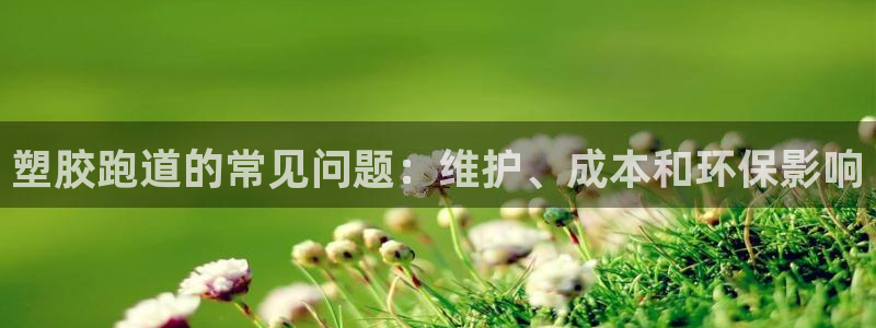 红足一1世比分网：塑胶跑道的常见问题：维护、成本和环保影响