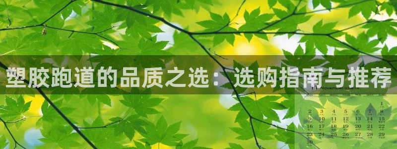 红姐现场直播开奖记录：塑胶跑道的品质之选：选购指南与推荐