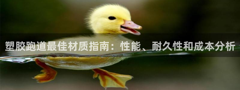 红足一丰：塑胶跑道最佳材质指南：性能、耐久性和成本分析