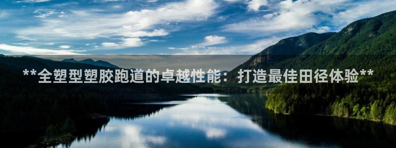百度红足一1使用说明：**全塑型塑胶跑道的卓越性能：打造最佳田径体验**