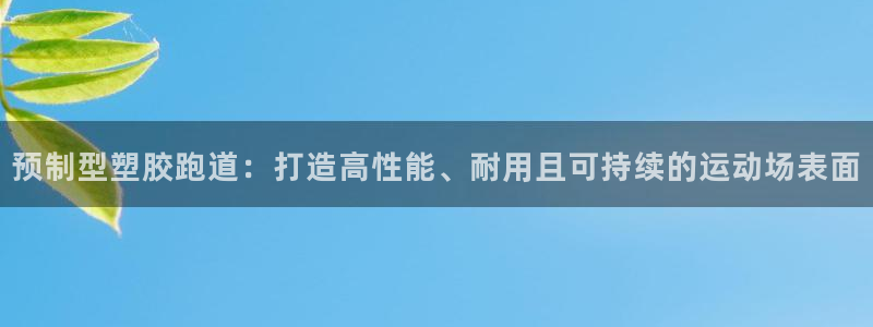 红足一1世666814最新结果：预制型塑胶跑道：打造高性能、耐用且可持续的运动场表面