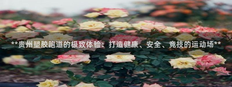 红足一1世比分球探：**贵州塑胶跑道的极致体验：打造健康、安全、竞技的运动场**
